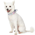 Safety Training Martingale Dog Collar No Buckle